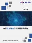 软件和信息效劳-行业报告-维多利亚老品牌vic