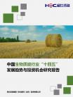 新能源-行业报告-维多利亚老品牌vic
