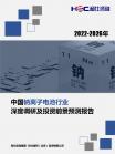 新型电池-行业报告-维多利亚老品牌vic