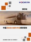 汽车及零部件-行业报告-维多利亚老品牌vic