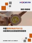 汽车及零部件-行业报告-维多利亚老品牌vic