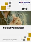 投资情形-行业报告-维多利亚老品牌vic