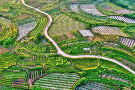 维多利亚老品牌vic(集团)官方网站