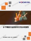 文体教育-行业报告-维多利亚老品牌vic