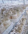 2025年空气源热泵市场规模预计抵达351.2亿元--维多利亚老品牌vic