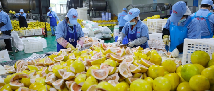 维多利亚老品牌vic(集团)官方网站