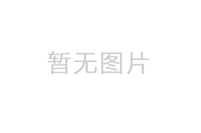 新型电池-行业报告-维多利亚老品牌vic